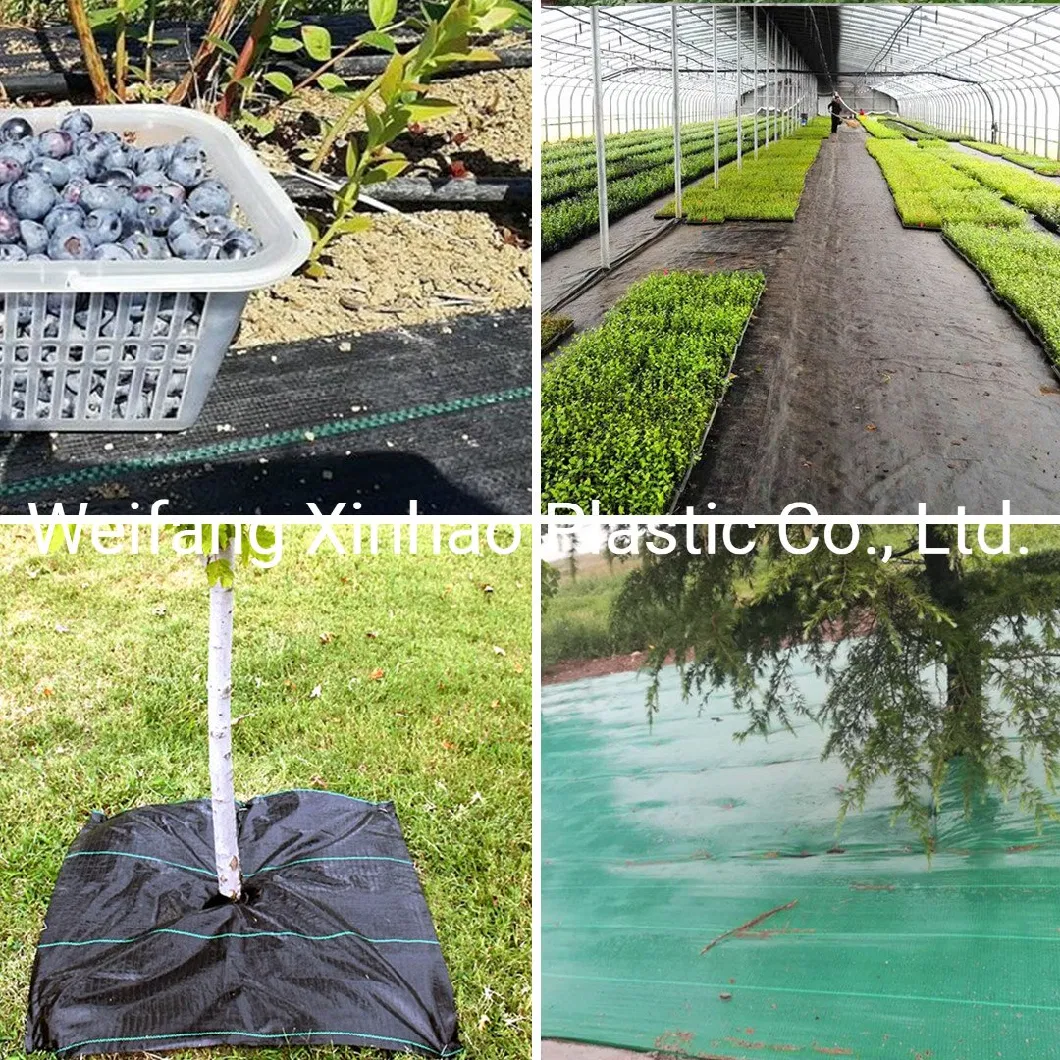 Quality Guarantee Virgin PP PE Ground Cover Fabric From Manufacturer UV Treated