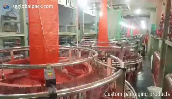 GRS China Factory Wholesale High Quality PP PE Net Mesh Bag Fabric 